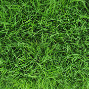 X-Rimozione delle macchie naturali