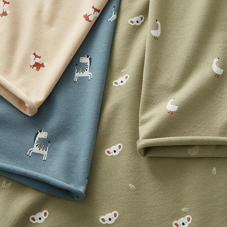 jersey di cotone teste di koala – pistacchio,  image number 5