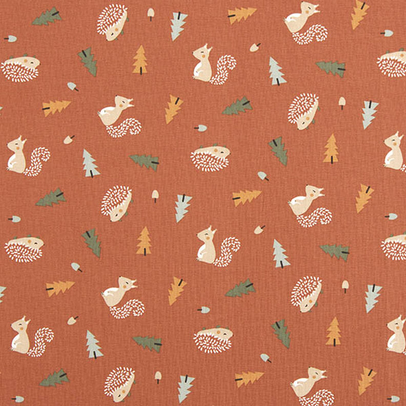 jersey di cotone Riccio e scoiattolo – terracotta,  image number 1