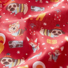 tessuto in cotone cretonne Cani a Natale – rosso, 