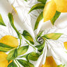 tessuto arredo panama limoni – bianco/giallo limone,  thumbnail number 3