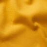 giallo curry