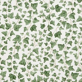 tessuto arredo mezzo panama Edera rampicante – bianco/verde, 