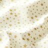 tessuto in cotone cretonne cielo stellato natalizio, piccolo – bianco,  thumbnail number 2