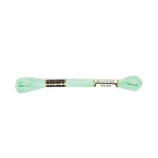 Filato da ricamo Metis 2510 /DMC 964 /Anchor 1092, 