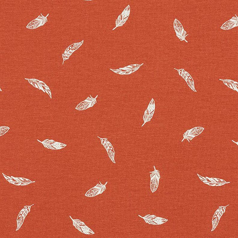 jersey di cotone, piume – terracotta,  image number 1
