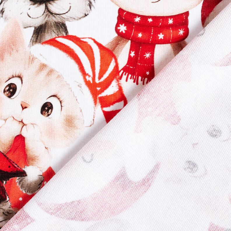 French terry, felpa estiva animali in costume natalizio stampa digitale – bianco/peperoncino,  image number 4