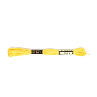 Filato da ricamo Metis 2023 | DMC 726, 