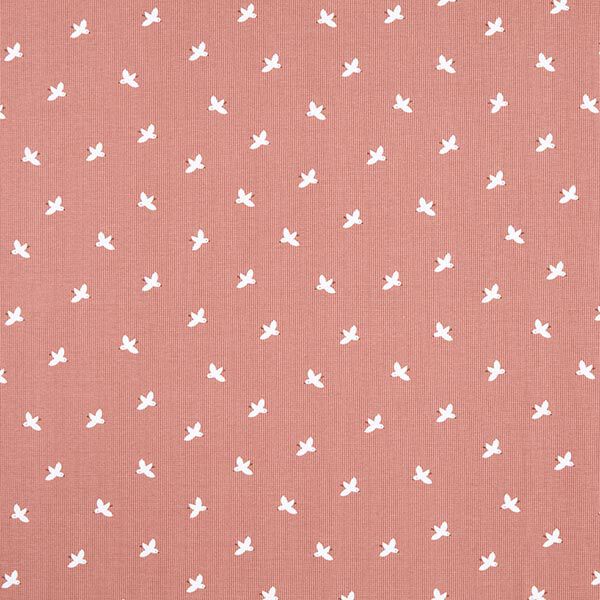 Jersey a nido d’ape uccelli – rosa anticato, image number 1