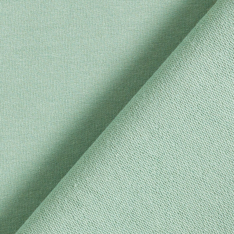 French terry pesante – canna palustre,  image number 3