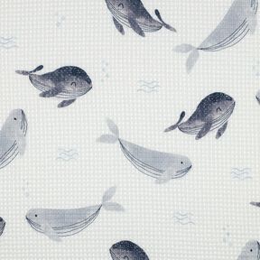 piqué nido d’ape balene stampa digitale | Poppy Fabrics – avorio/grigio blu, 
