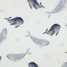 piqué nido d’ape balene stampa digitale | Poppy Fabrics – avorio/grigio blu,  thumbnail number 1
