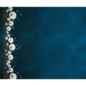 jersey di cotone soffioni tessuto con bordura | Glitzerpüppi – nero-azzurro/mandorla, 