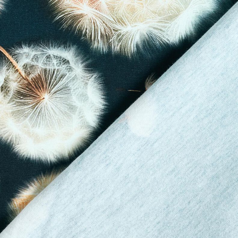 jersey di cotone soffioni tessuto con bordura | Glitzerpüppi – nero-azzurro/mandorla,  image number 4