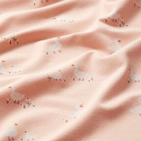 jersey di cotone oche e fiori – rosé, 