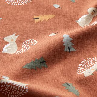 jersey di cotone Riccio e scoiattolo – terracotta, 