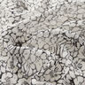 Chiffon increspato con ornamenti floreali – bianco/nero,  thumbnail number 2