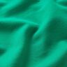 French terry leggero tinta unita – verde,  thumbnail number 3