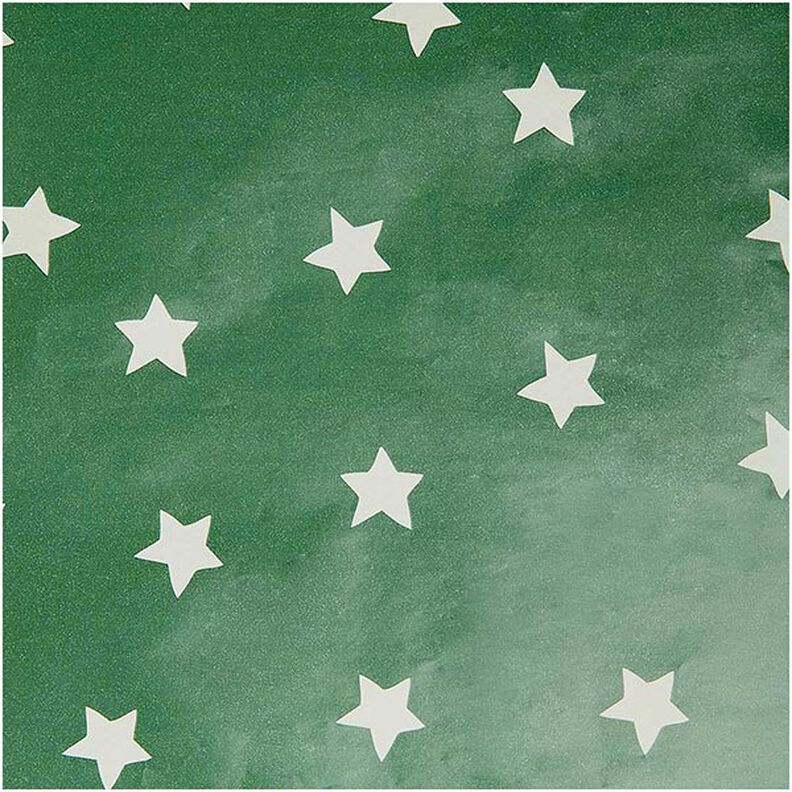 carta da regalo stelle | Rico Design – verde,  image number 1