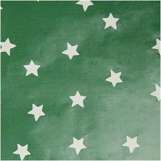 carta da regalo stelle | Rico Design – verde, 