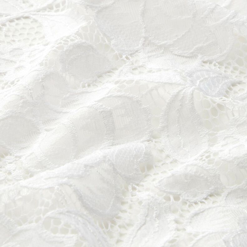 pizzo elastico Boccioli e foglie – bianco lana,  image number 3