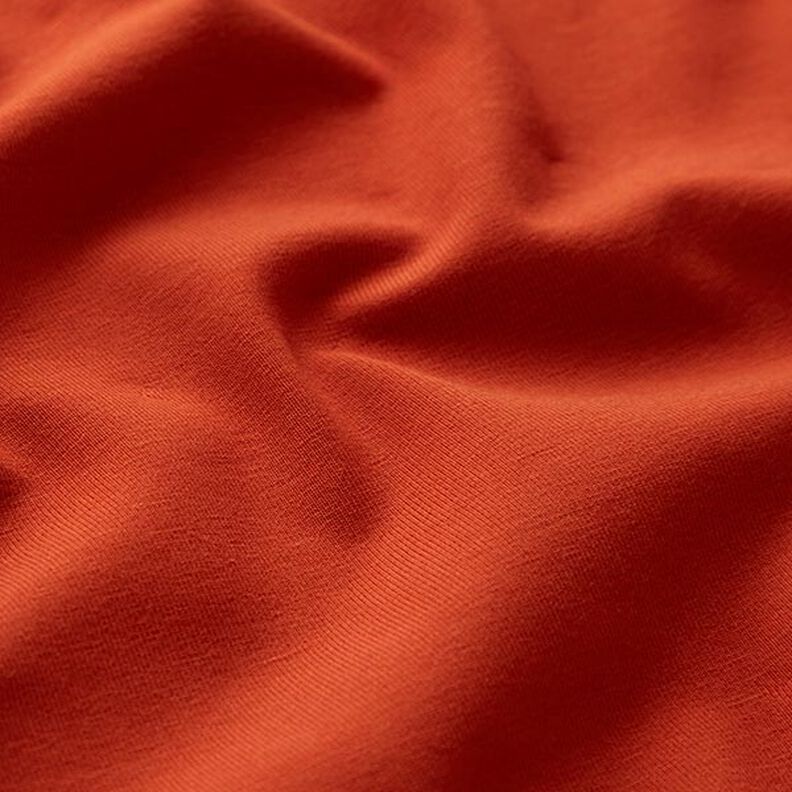 GOTS jersey di cotone | Tula – terracotta,  image number 2