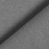 felpa garzata – grigio,  thumbnail number 5