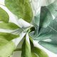 tessuto arredo tessuto canvas grandi foglie di monstera – bianco/verde erba,  thumbnail number 3