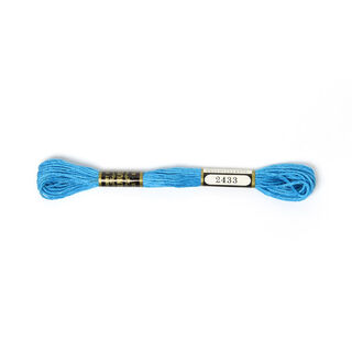 Filato da ricamo Metis 2433 | DMC 3843, 