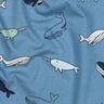jersey di cotone Grazione balene | Poppy Fabrics – grigio blu/blu marino,  thumbnail number 2