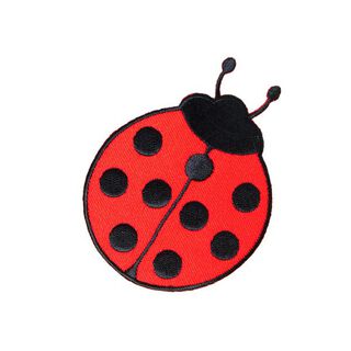 Applicazione – Coccinella | Kleiber, 