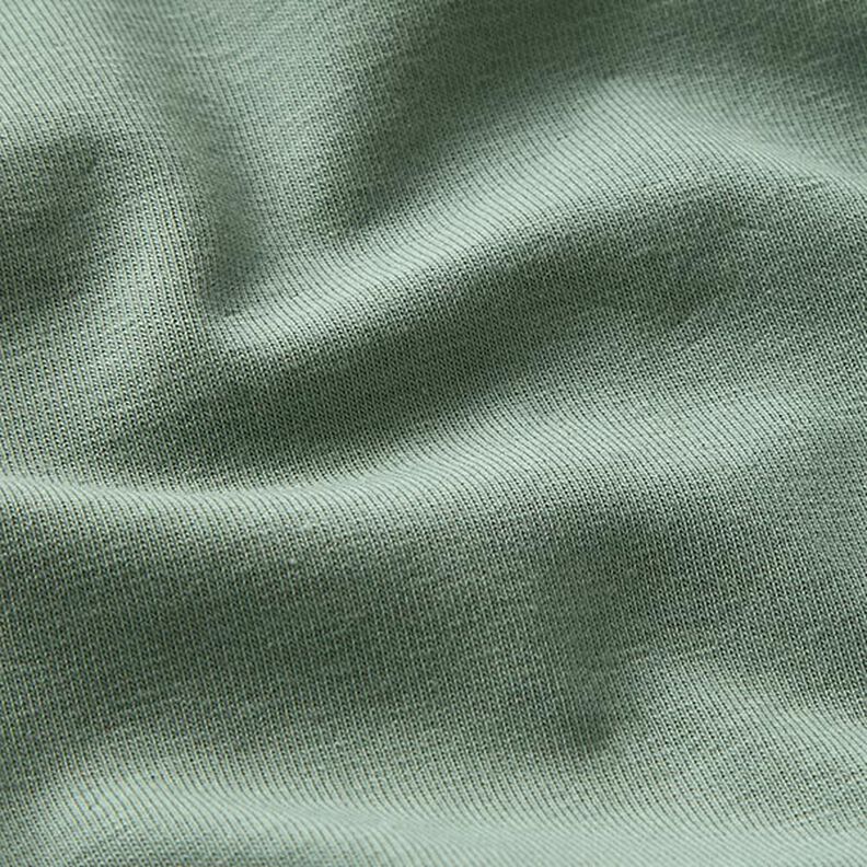 GOTS jersey di cotone | Tula – canna palustre,  image number 2