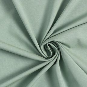 jersey di cotone medio tinta unita – canna palustre, 
