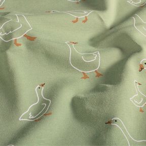 jersey di cotone Famiglia di oche – canna palustre, 