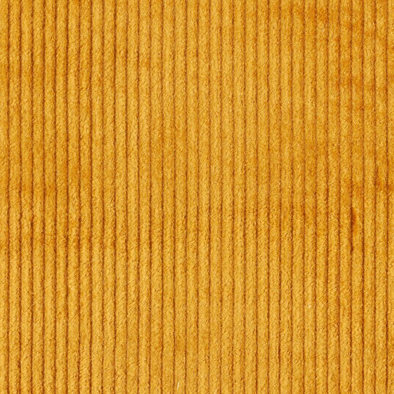 Breitcord Stretch – giallo curry, image number 4