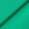 jersey di cotone medio tinta unita – verde,  thumbnail number 5