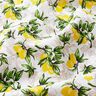 tessuto in cotone cretonne Rami di limone – bianco/giallo limone,  thumbnail number 2