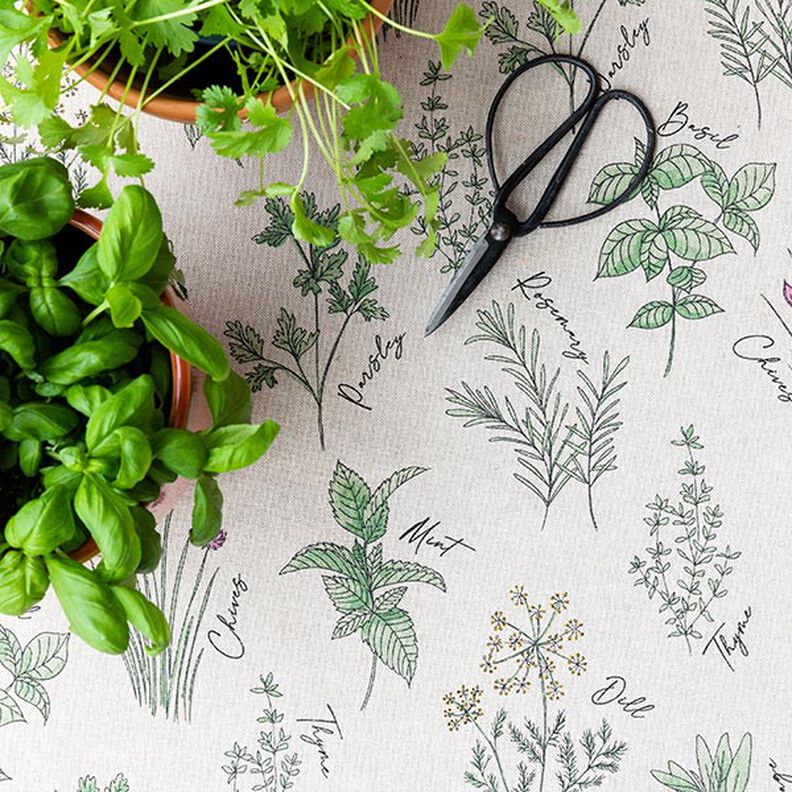 tessuto arredo mezzo panama erbe aromatiche – naturale/verde,  image number 6