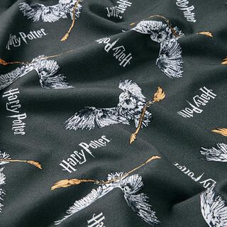jersey di cotone Tessuto oggetto di licenza Harry Potter, Edvige con la scopa | Warner Bros. –, 