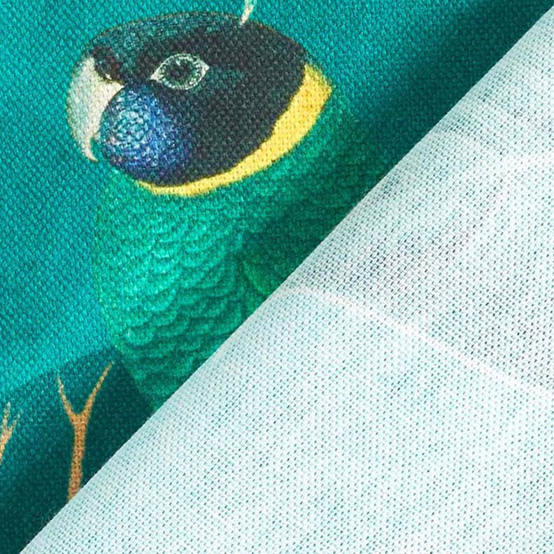tessuto arredo tessuto canvas uccelli del paradiso – verde scuro,  image number 4