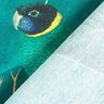 tessuto arredo tessuto canvas uccelli del paradiso – verde scuro,  thumbnail number 4