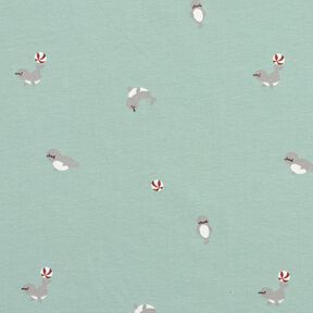 jersey di cotone Foche acrobatiche &ndash; azzurro, 