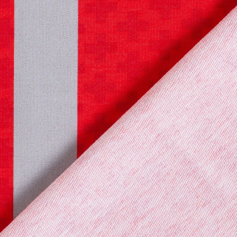 French terry, felpa estiva Tessuto con bordura essere medico d'urgenza un giorno – rosso/grigio,  image number 4