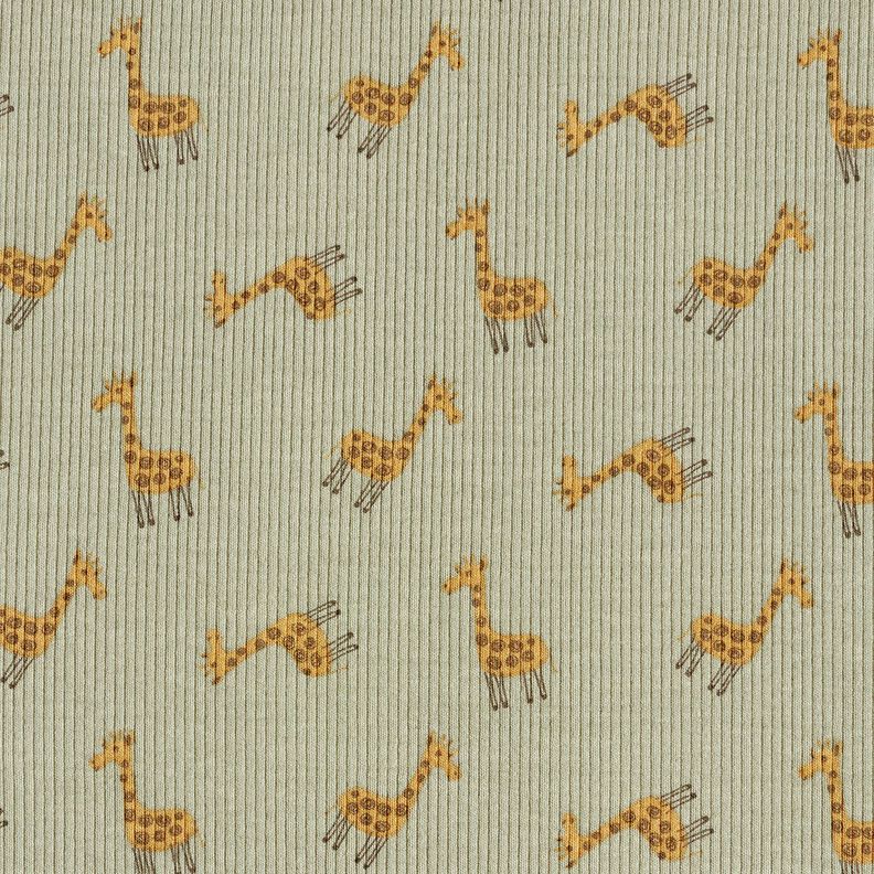 jersey a coste tenere giraffe – cachi, image number 1