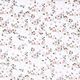 satin di seta-viscosa, fiori sparsi – bianco,  thumbnail number 1