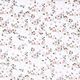 satin di seta-viscosa, fiori sparsi – bianco,  thumbnail number 1