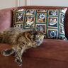 tessuto arredo mezzo panama Ritratti di gatti – verde scuro/oro,  thumbnail number 5