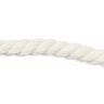 cordoncino in cotone [ Ø 8 mm ] – bianco lana,  thumbnail number 1