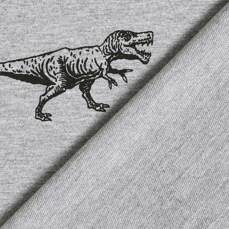 French terry, felpa estiva dinosauri – argento/nero, image number 4