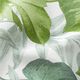 tessuto arredo tessuto canvas grandi foglie di monstera – bianco/verde erba,  thumbnail number 2